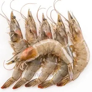 Prawns
