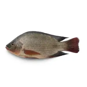 category-image