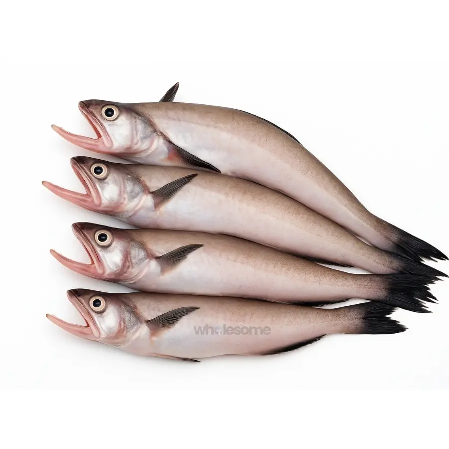 Bombay Duck (Bombil)