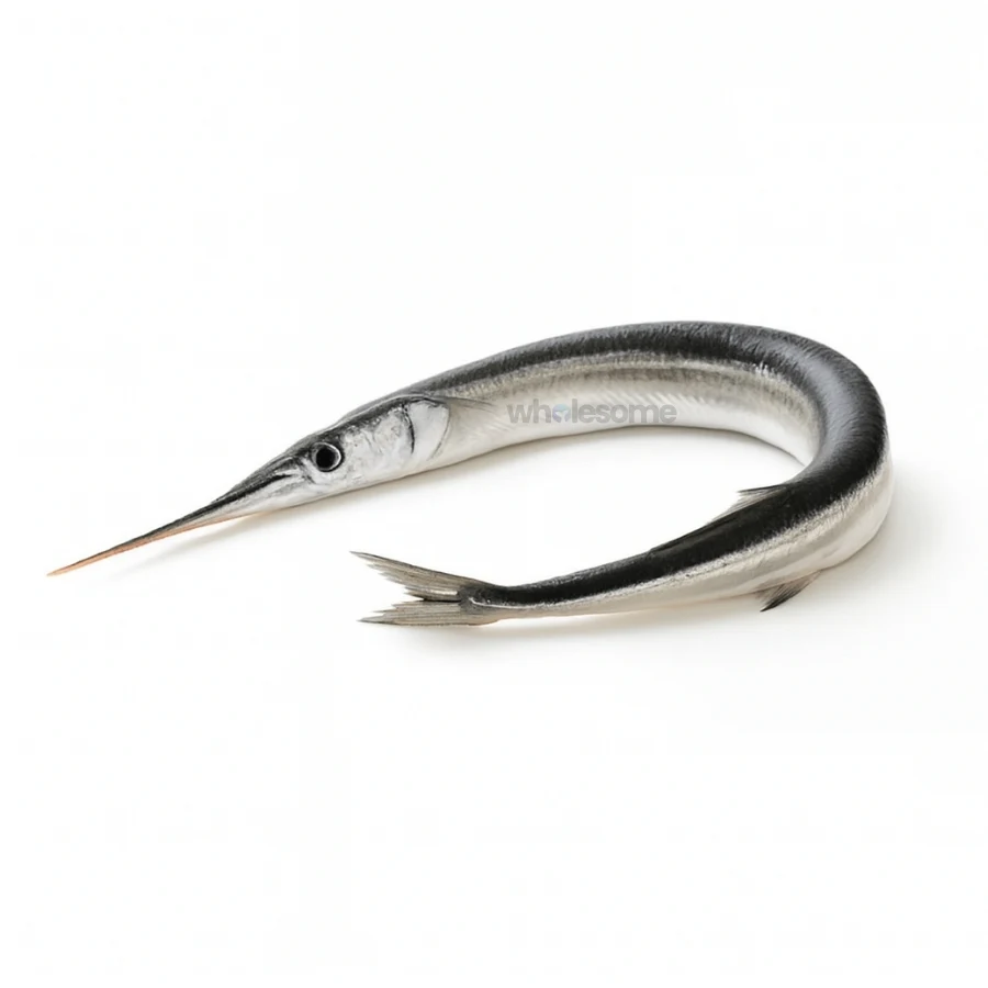 Needlefish (Kanghi)