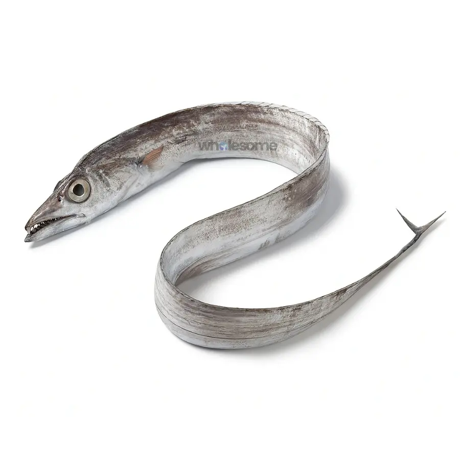 Ribbonfish (Chind)